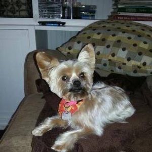 Meet your Posher, Wayne